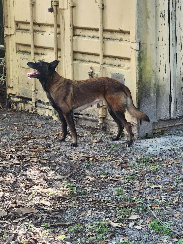 Calusa  Located In thumbnail 5