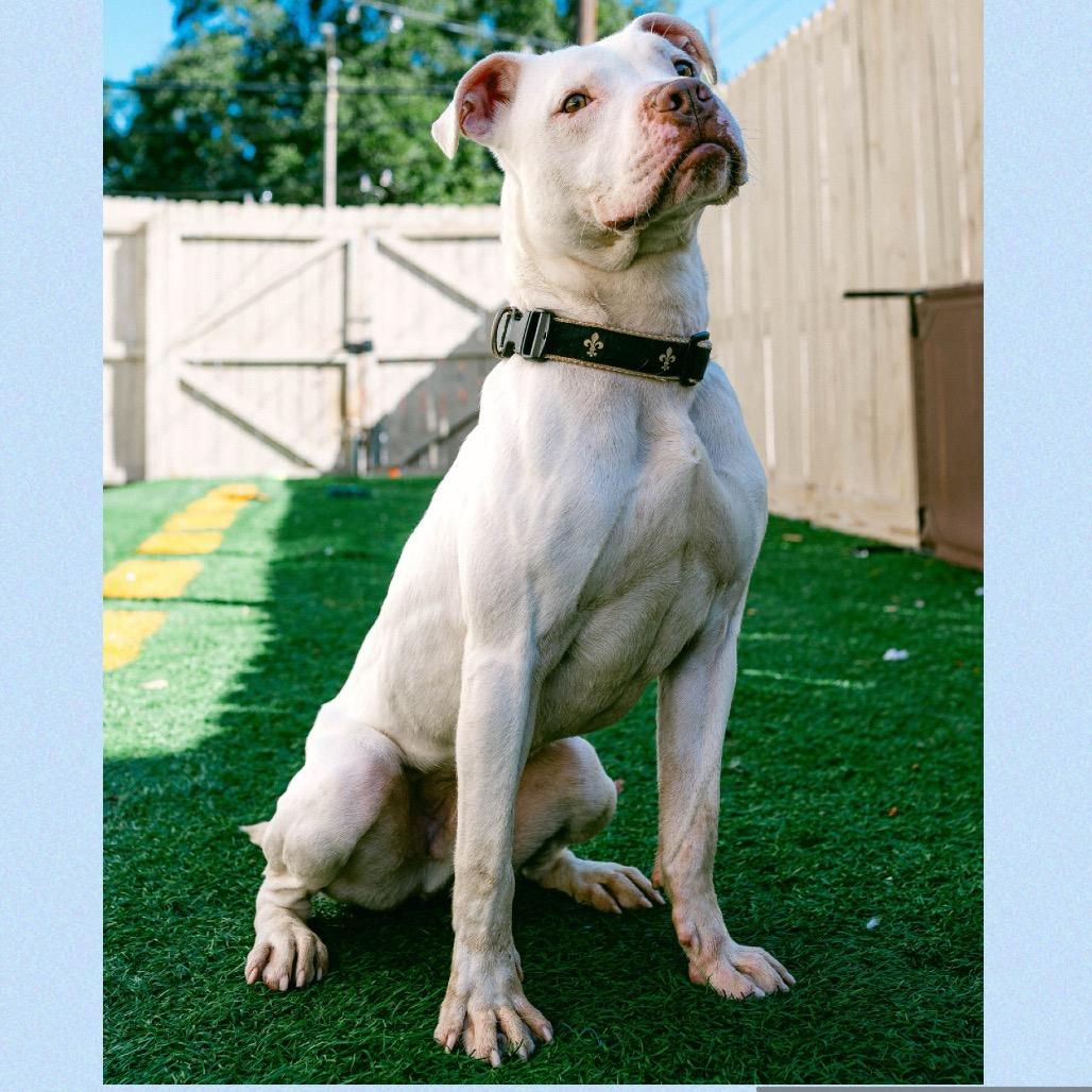 Goob Gooberson — thumbnail 3