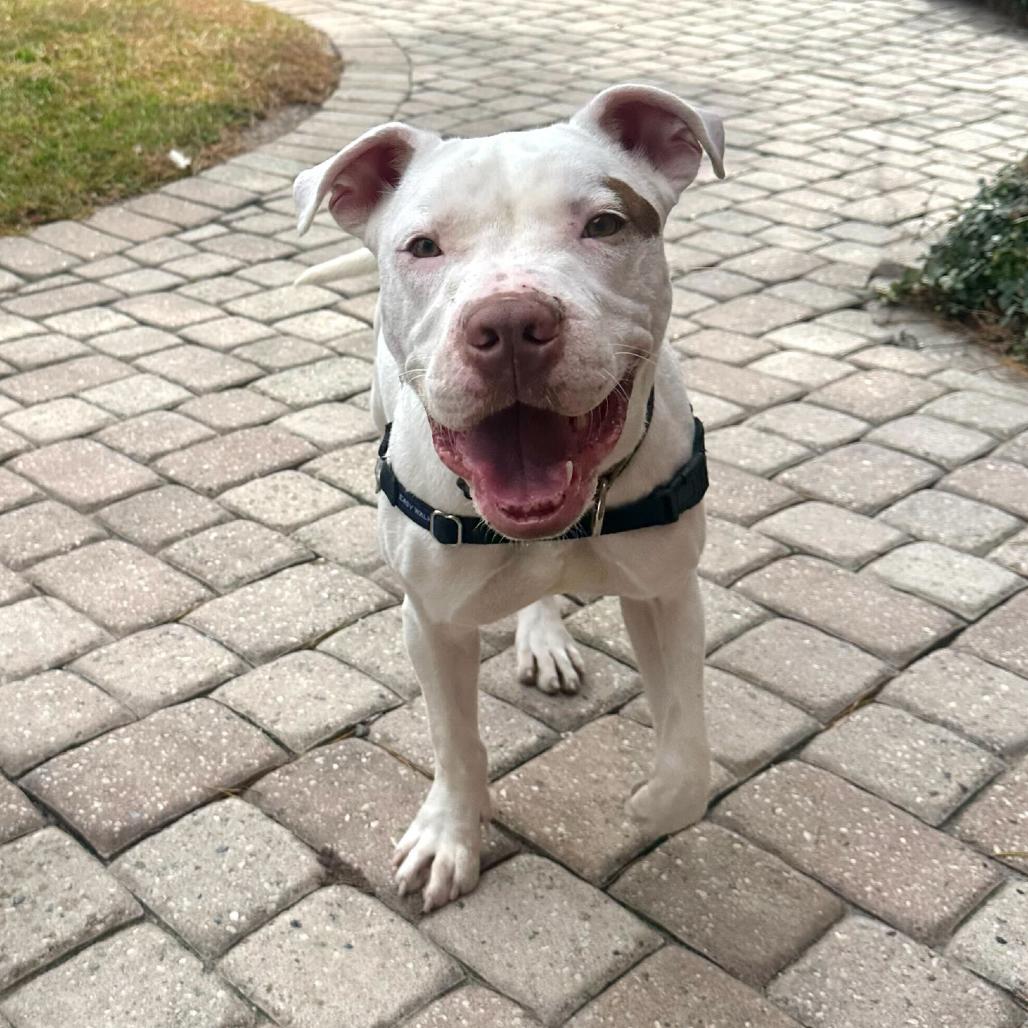 Goob Gooberson — thumbnail 6