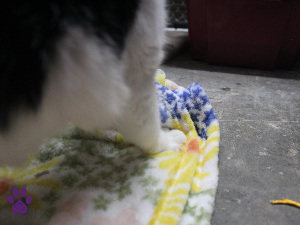 Florabella photo 3