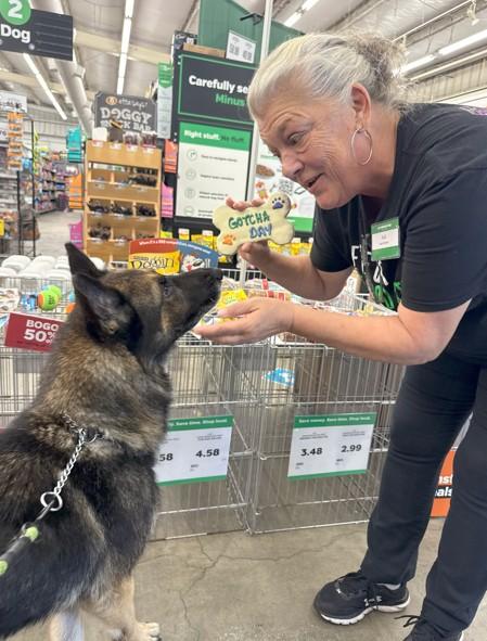 Enlarge Hudson, a Adoptable German Shepherd Dog in Discovery Bay, CA image 2/3