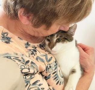 Enlarge Gregory, a Adoptable mixed breed in Mooresville, NC image 2/6