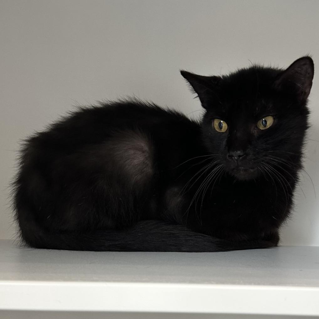 TUNA — thumbnail 4