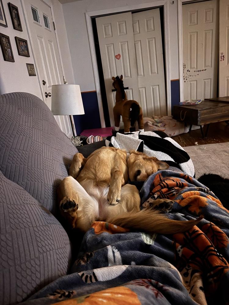 Molly (Charley C-Duo) — thumbnail 2