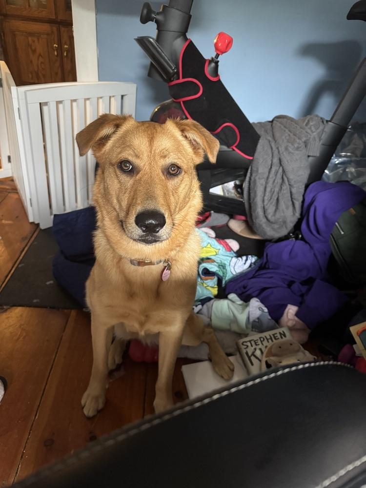 Molly (Charley C-Duo) — thumbnail 4