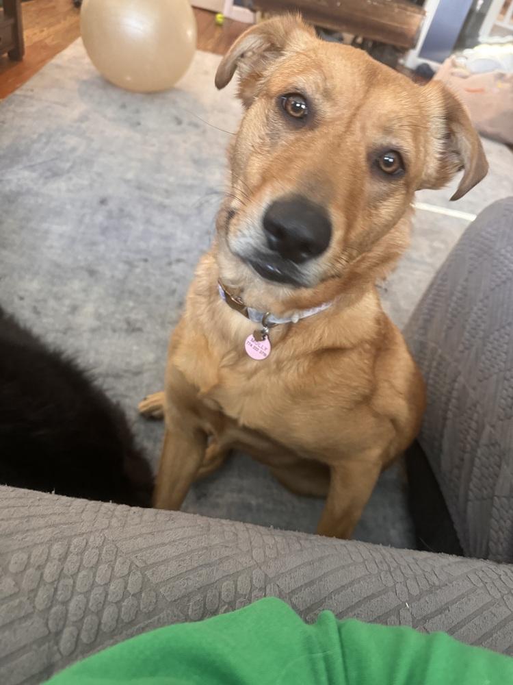 Molly (Charley C-Duo) — thumbnail 5