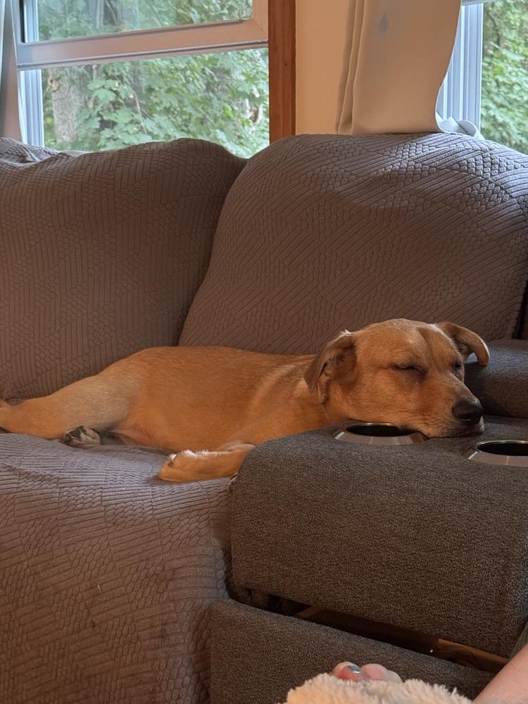 Molly (Charley C-Duo) — thumbnail 6