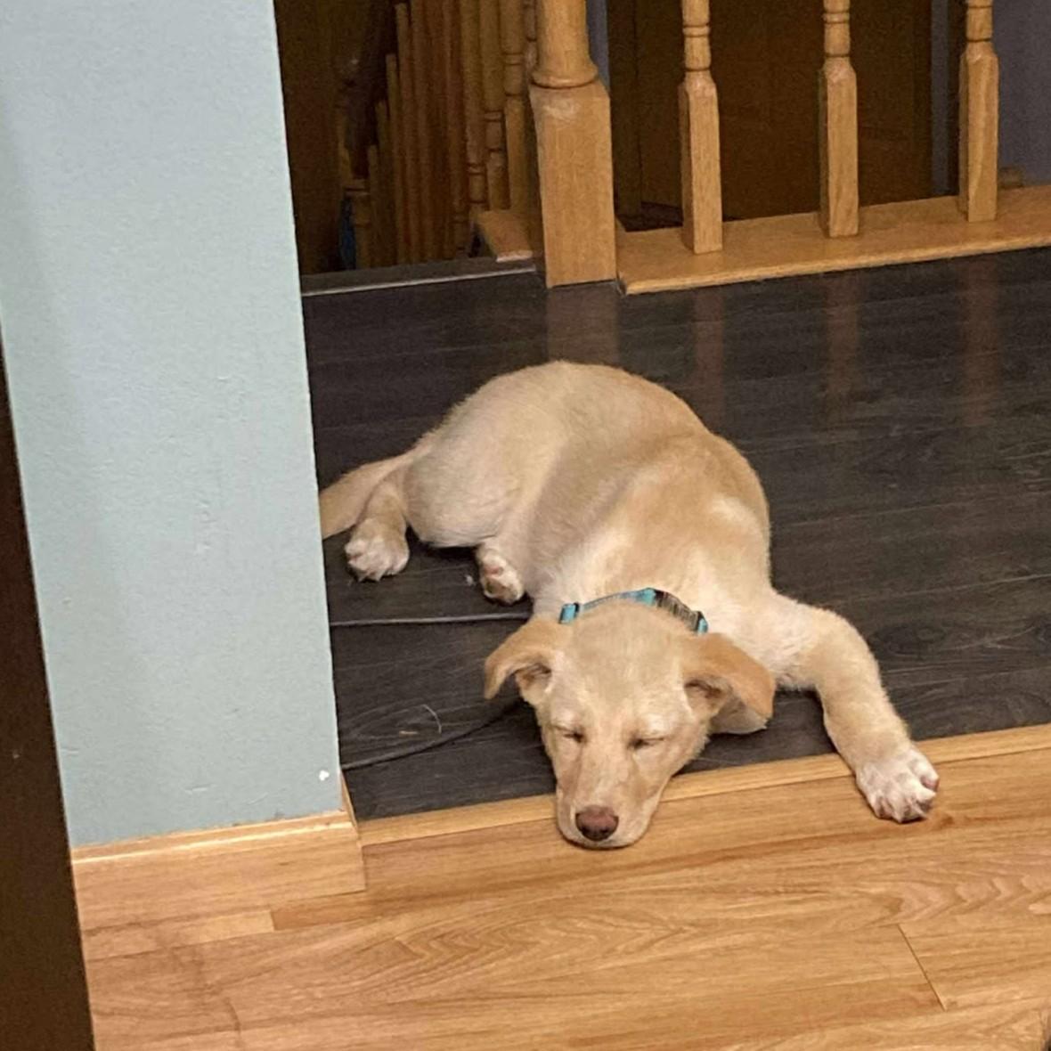Skye