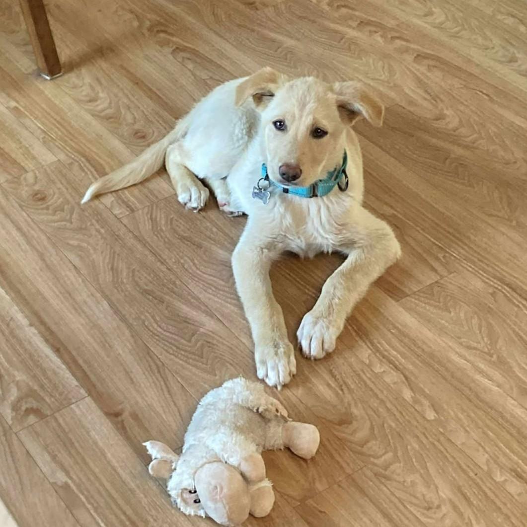 Skye