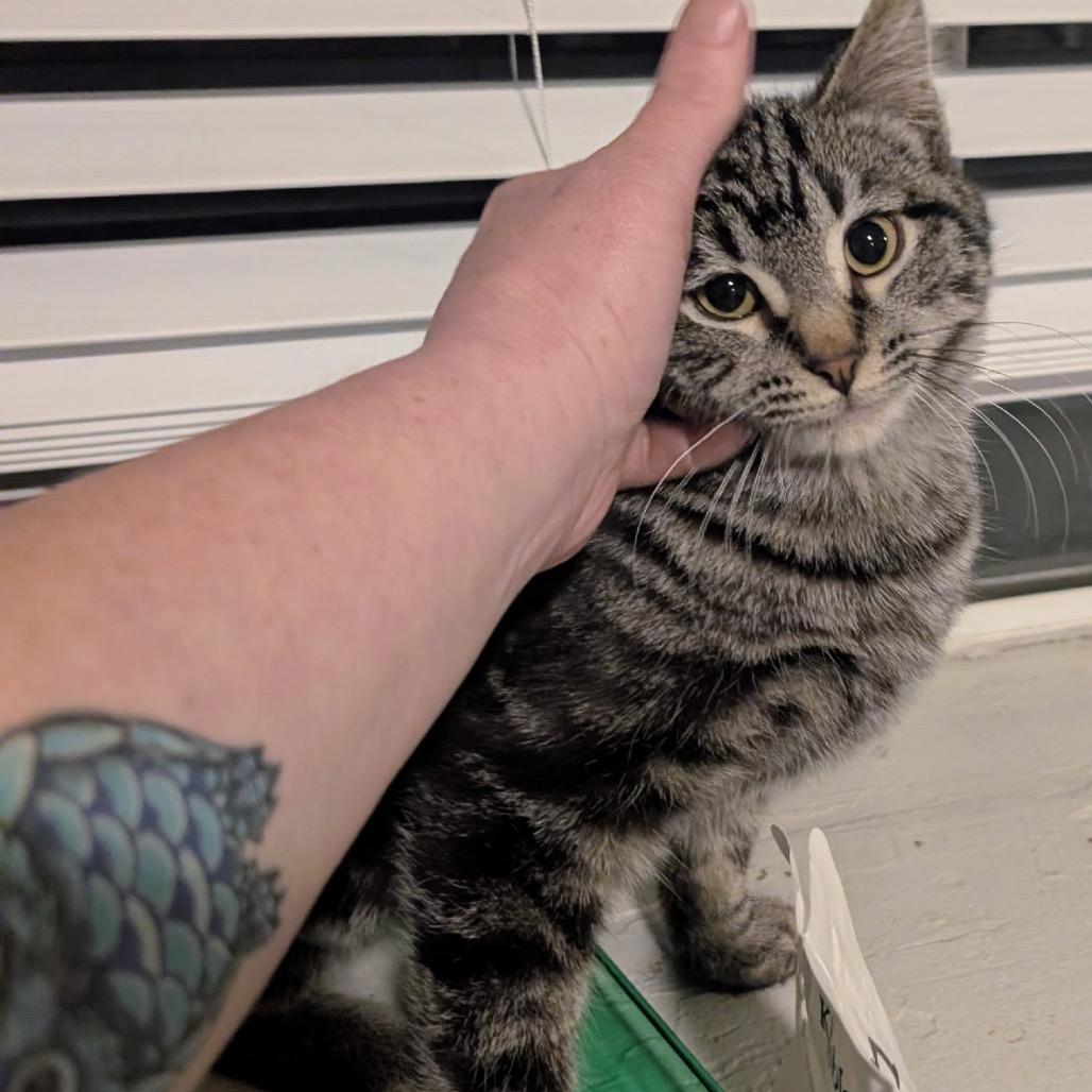 Fuzzy Hao Mao — thumbnail 4