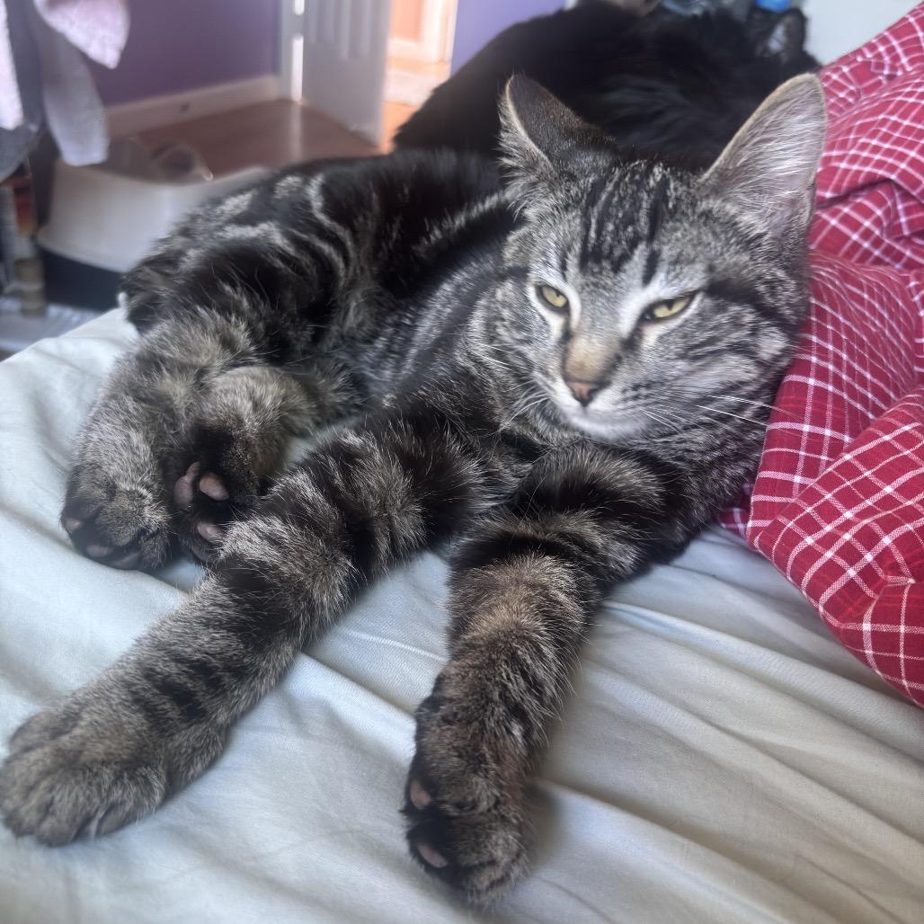 Fuzzy Hao Mao — thumbnail 6