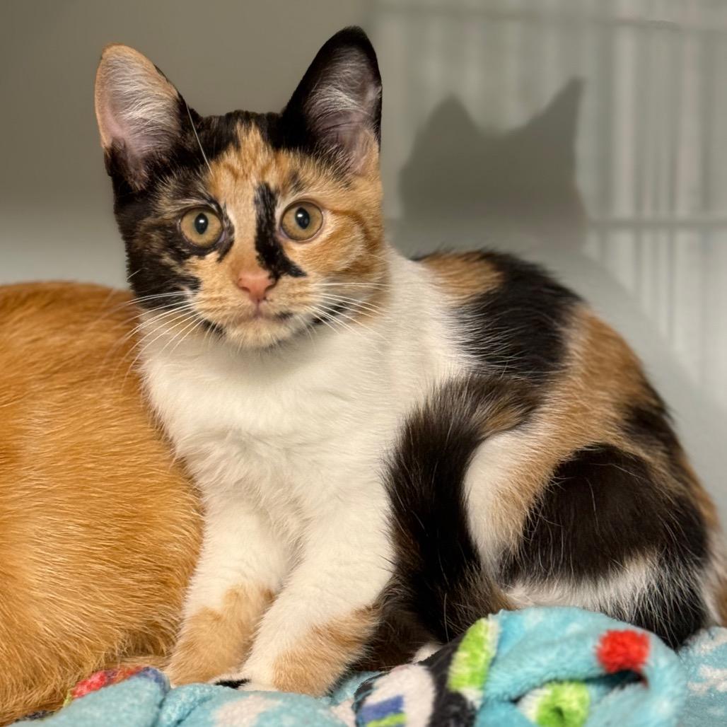 Jaylene — thumbnail 2