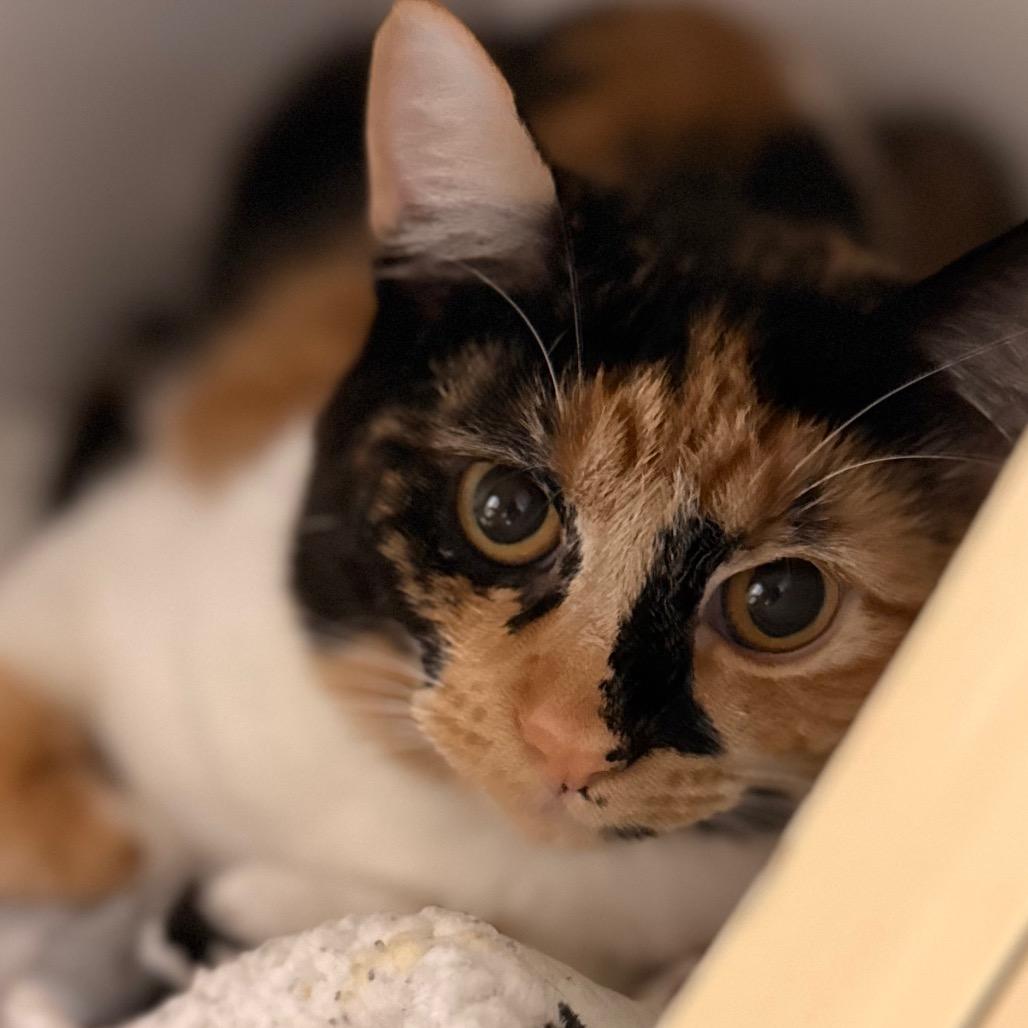 Jaylene — thumbnail 3