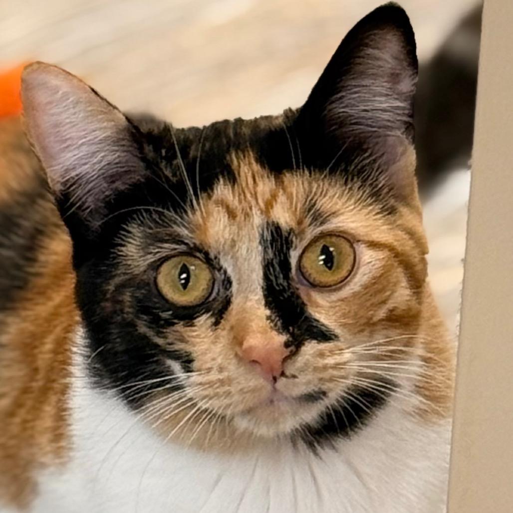 Jaylene — thumbnail 4