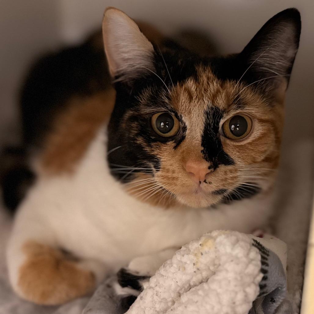 Jaylene — thumbnail 5