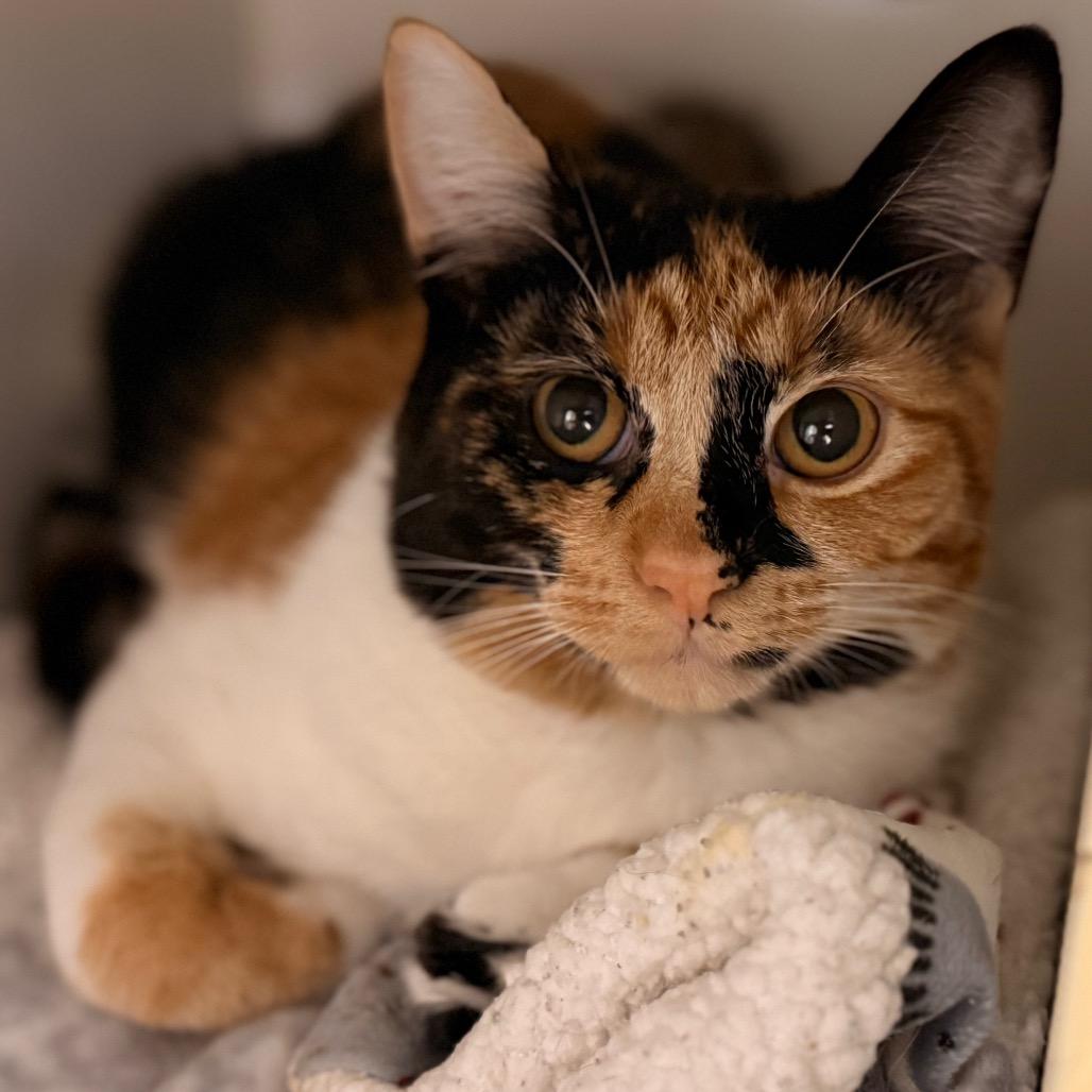 Jaylene — thumbnail 6