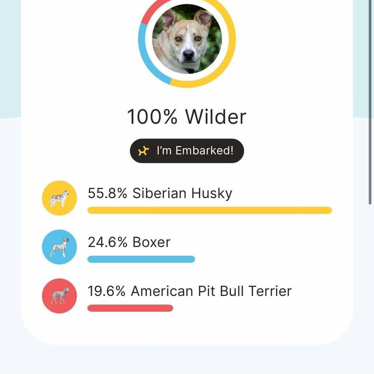 Wilson AKA Sir Wigglebutt 6