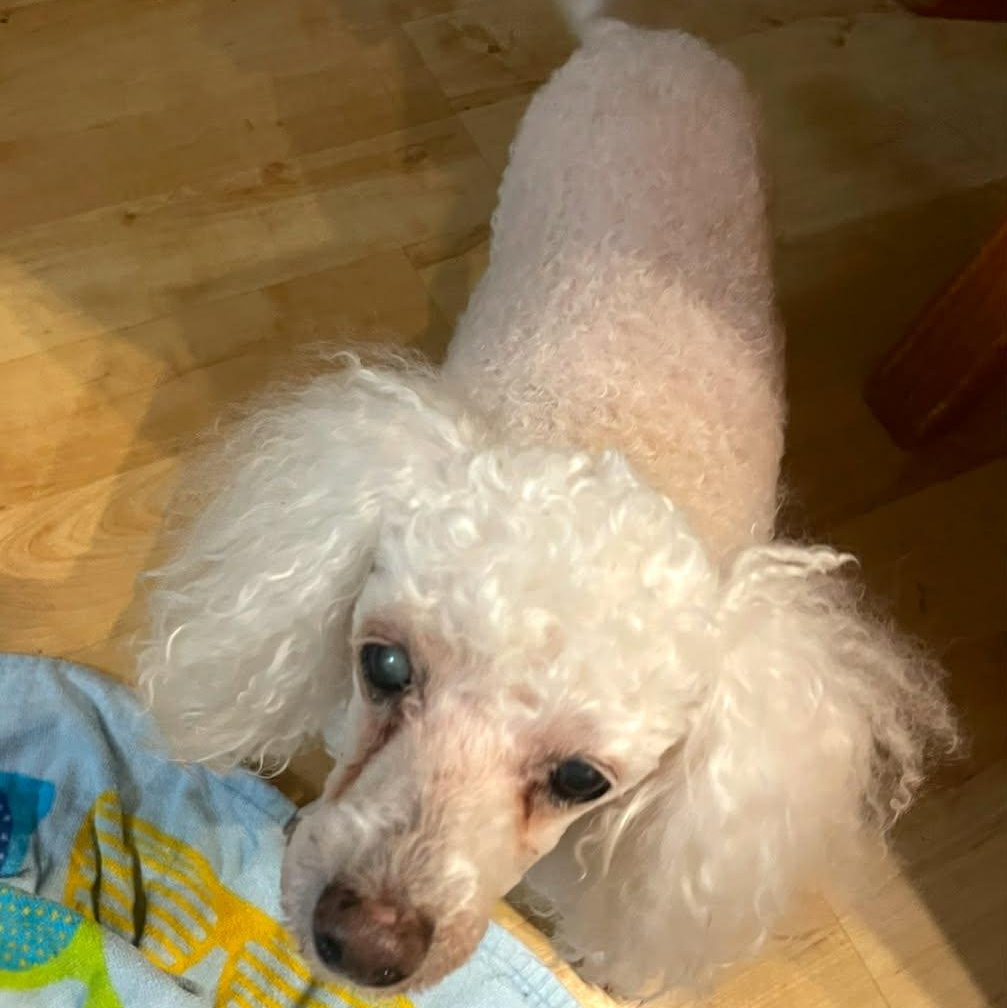 Lilith — thumbnail 2