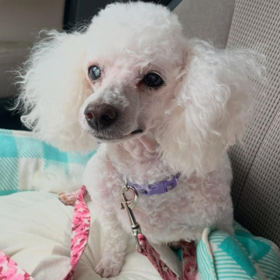 Lilith — thumbnail 5