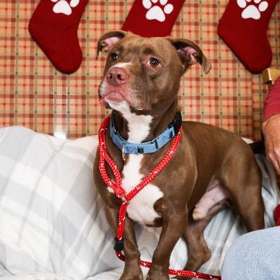 Nasville thumbnail 2