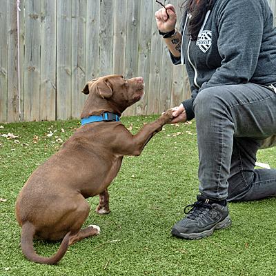 Nasville thumbnail 3