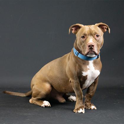 Nasville thumbnail 4