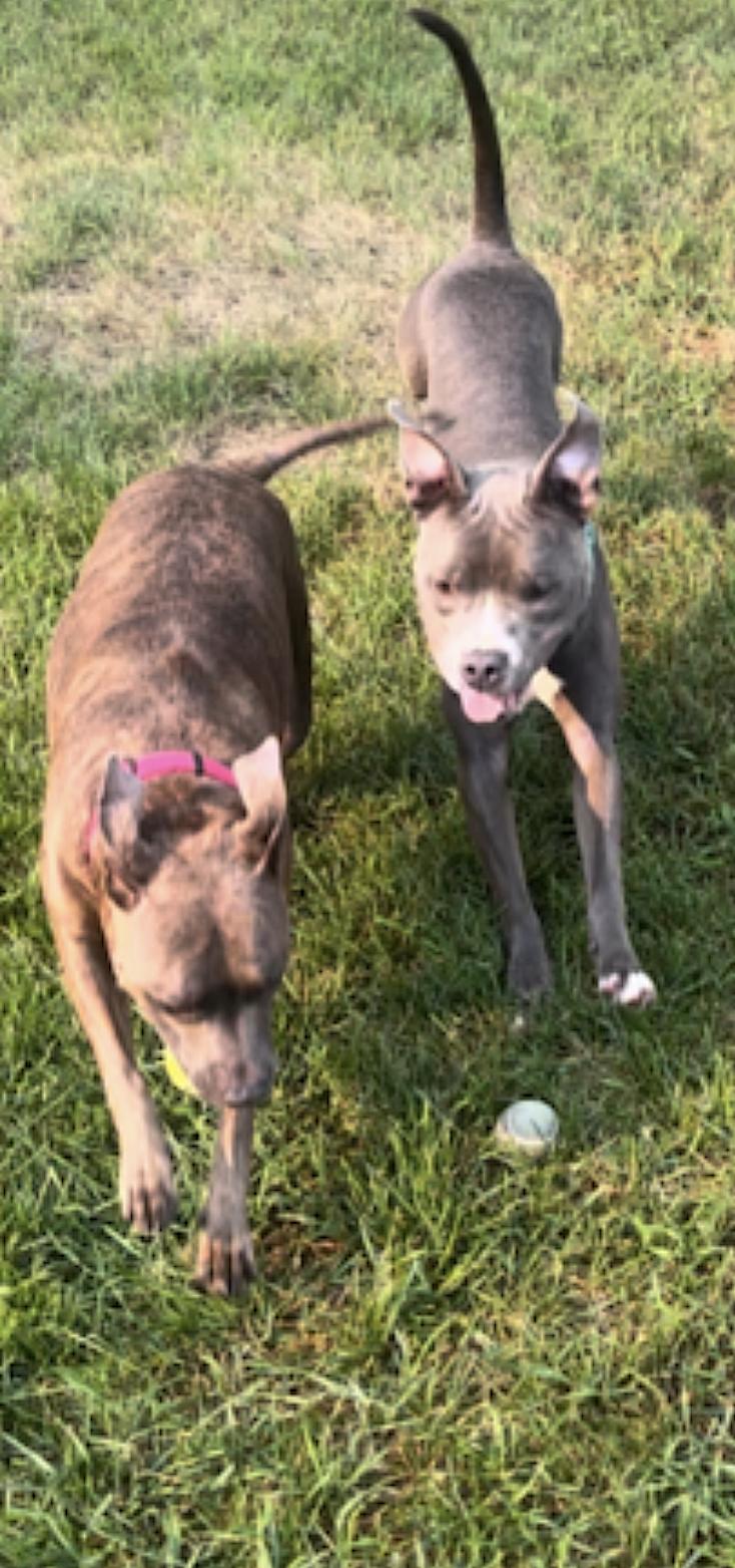 Jack — thumbnail 2