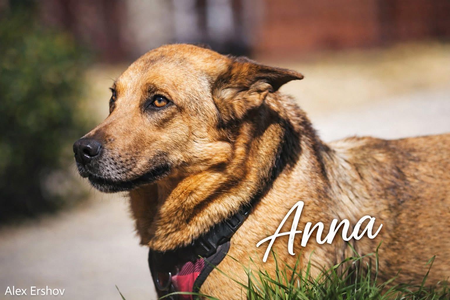 Anna — thumbnail 2