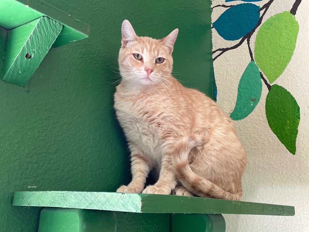 Tegan — thumbnail 3