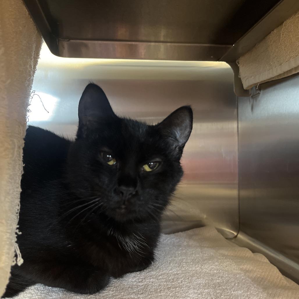 Colleen — thumbnail 2