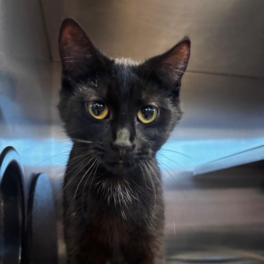 Colleen — thumbnail 3