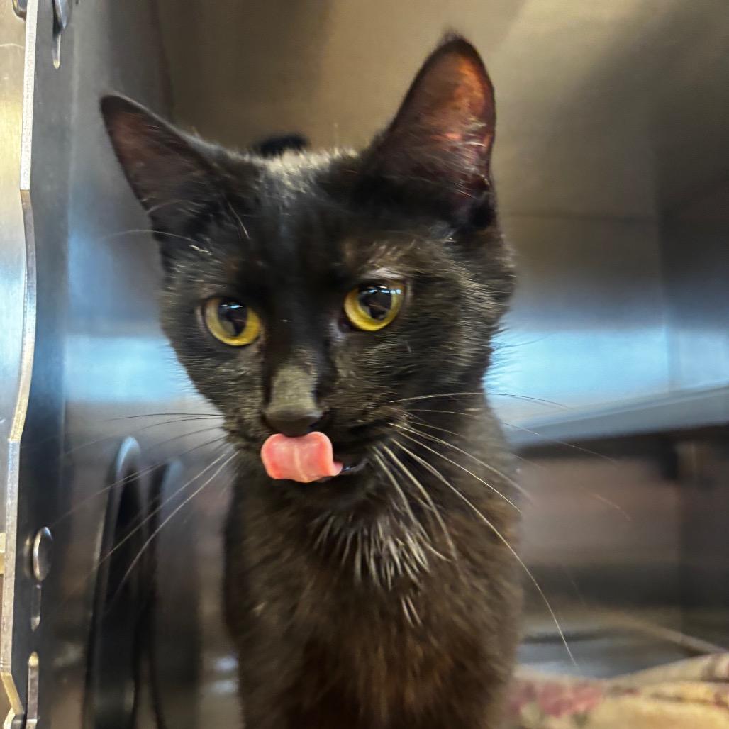 Colleen — thumbnail 4