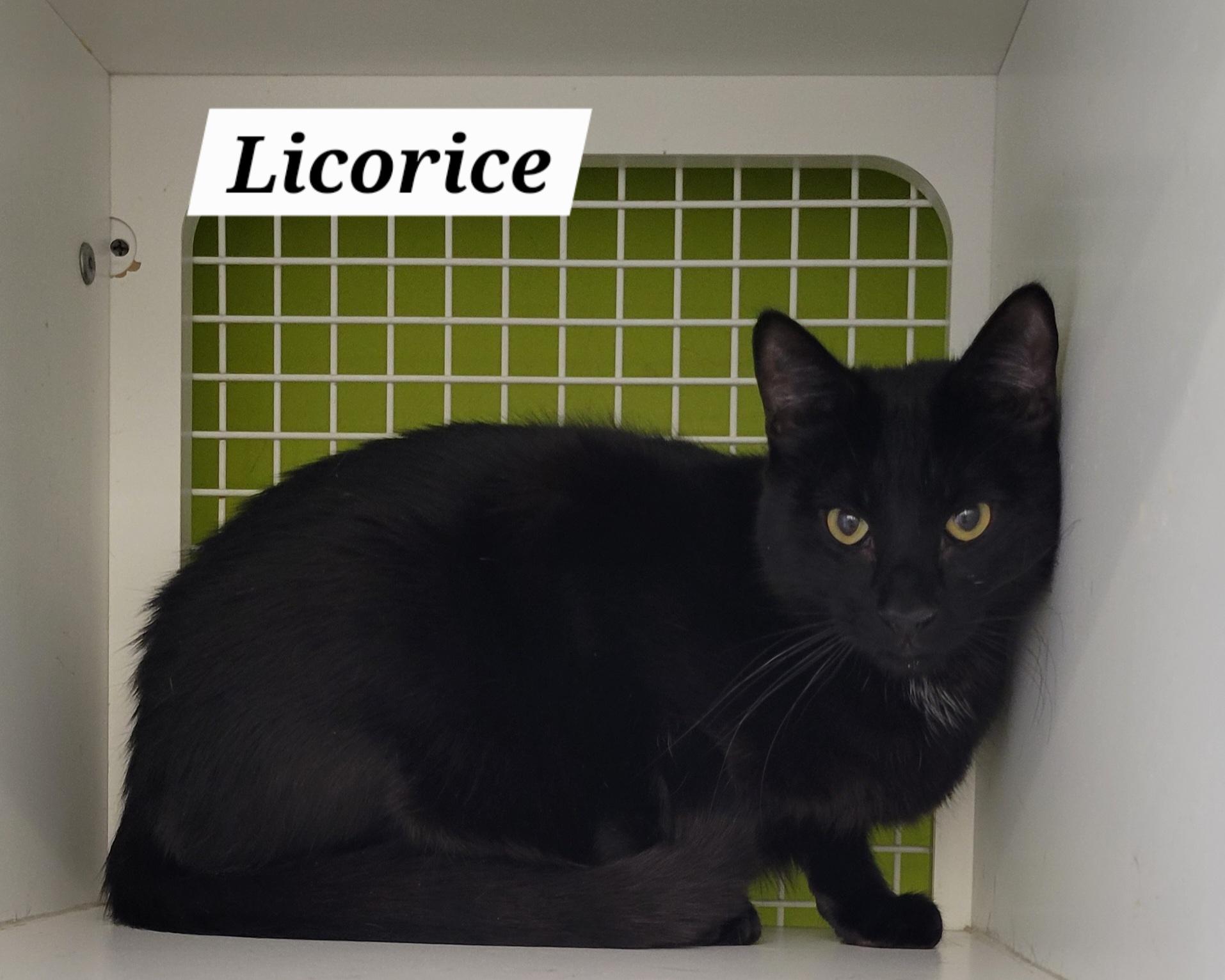 Licorice