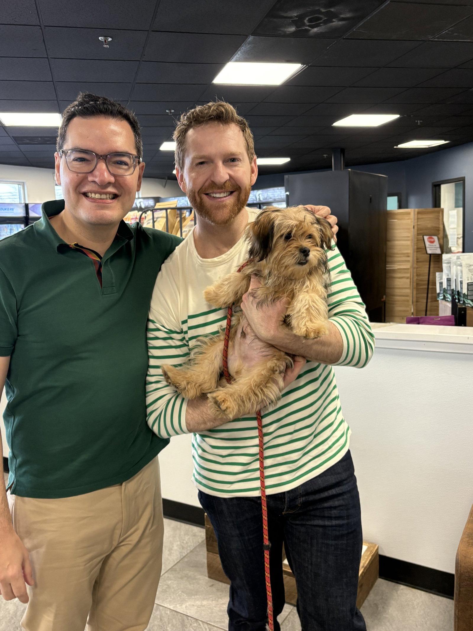 Enlarge Nathalie's Balto TX, a Adopted Terrier in Boonton, NJ image 2/3