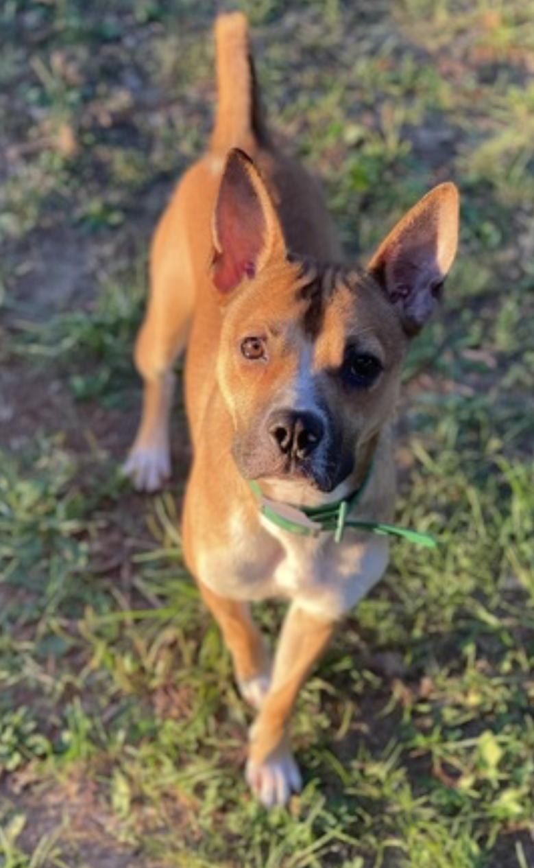 Marvel — thumbnail 3