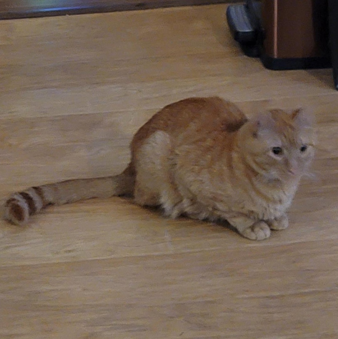 Enlarge Tigger , an adopted Domestic Short Hair in Pocatello, ID image 2/3