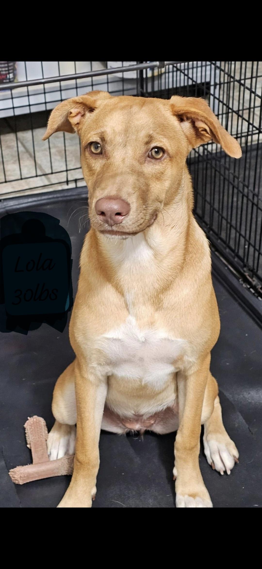 Lola Sage "hugs Anyone?" thumbnail 2