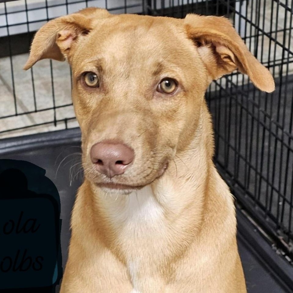 Lola Sage "hugs Anyone?"