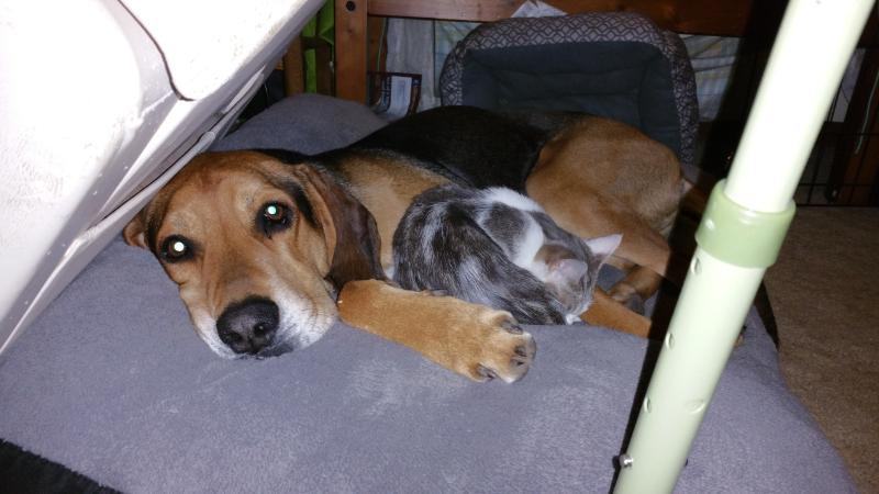 Booboo — thumbnail 3