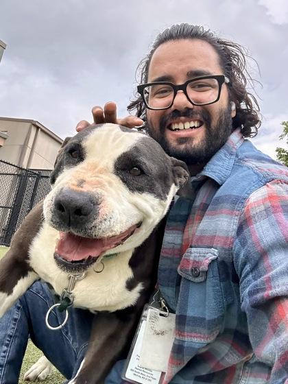 Duke, Adoptable, Senior Male Mixed Breed & Mixed Breed.