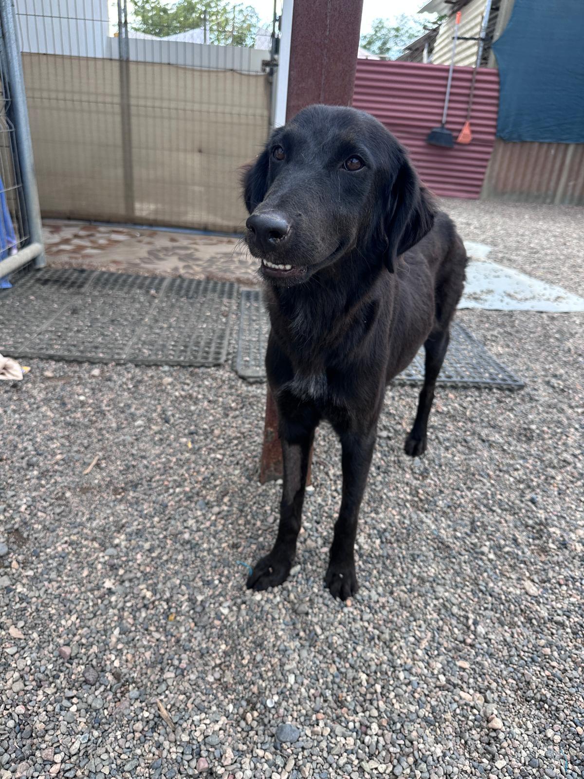 Seali — thumbnail 5