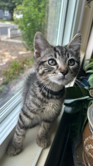 Leonard photo 4