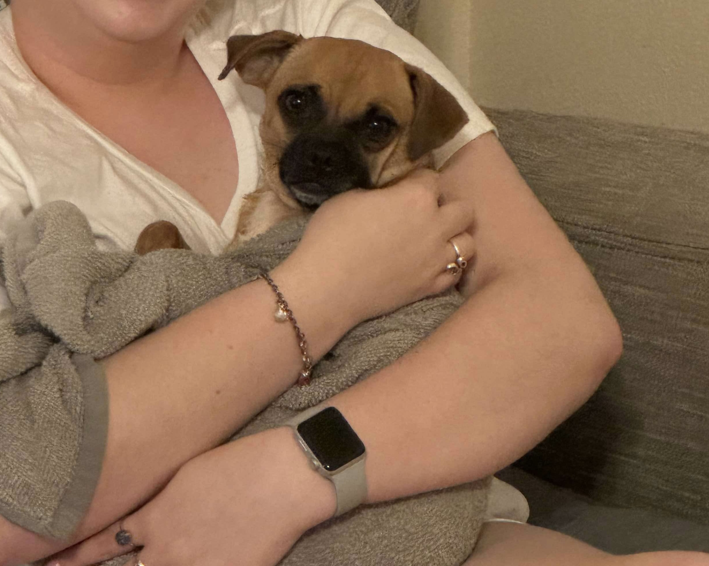 Moxie, a Adopted mixed breed in Humble, TX image 5/5