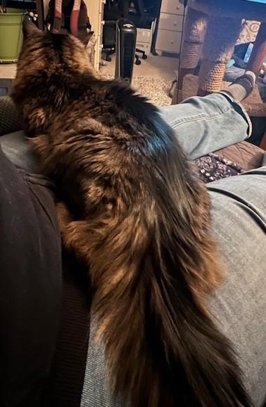 Fluffy Michelle photo 5