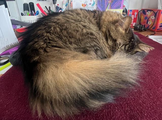 Fluffy Michelle photo 4