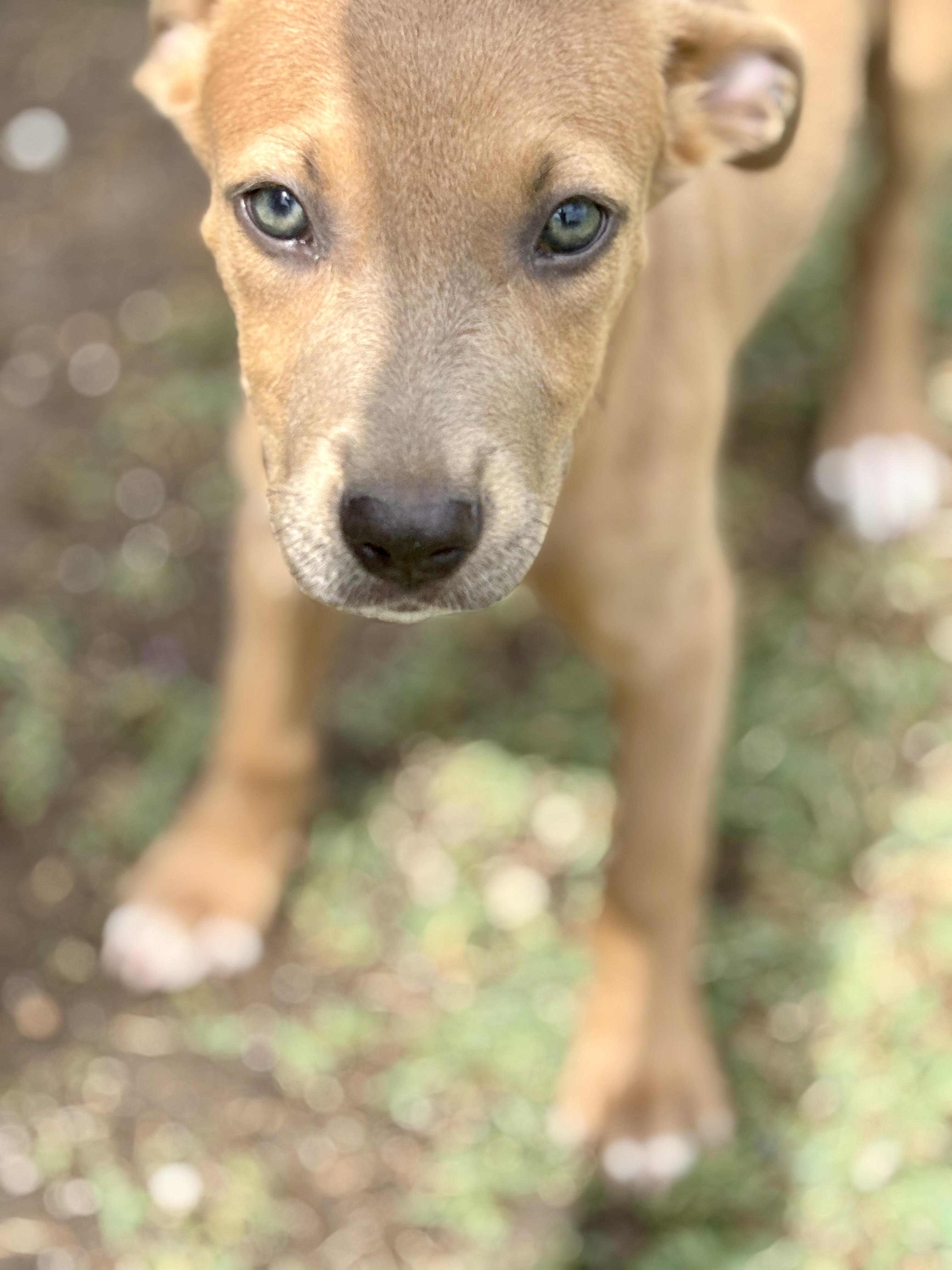Bonita! Sweet and gentle!