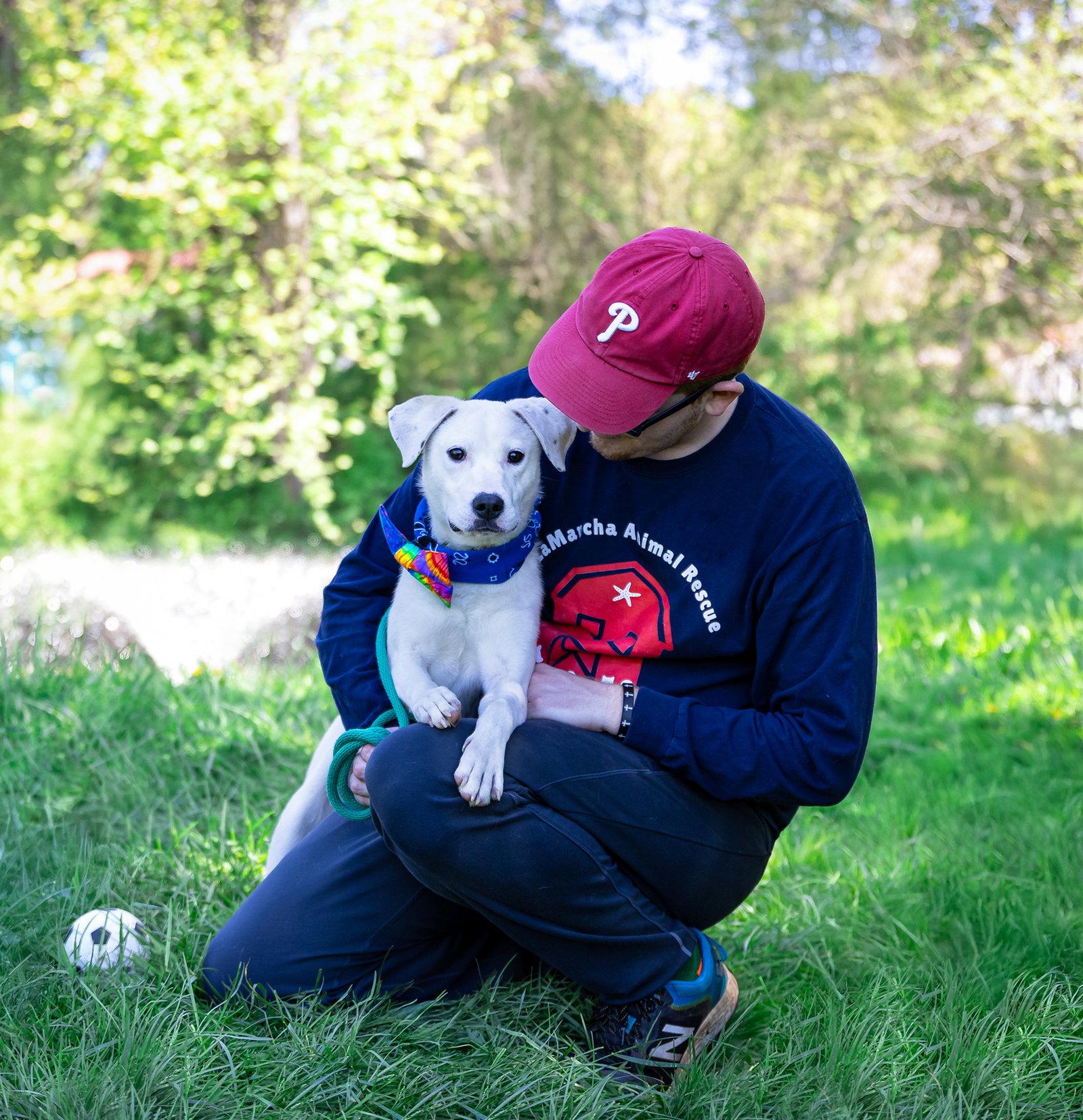 Snowball, a Adoptable mixed breed in Coatesville, PA image 2/3