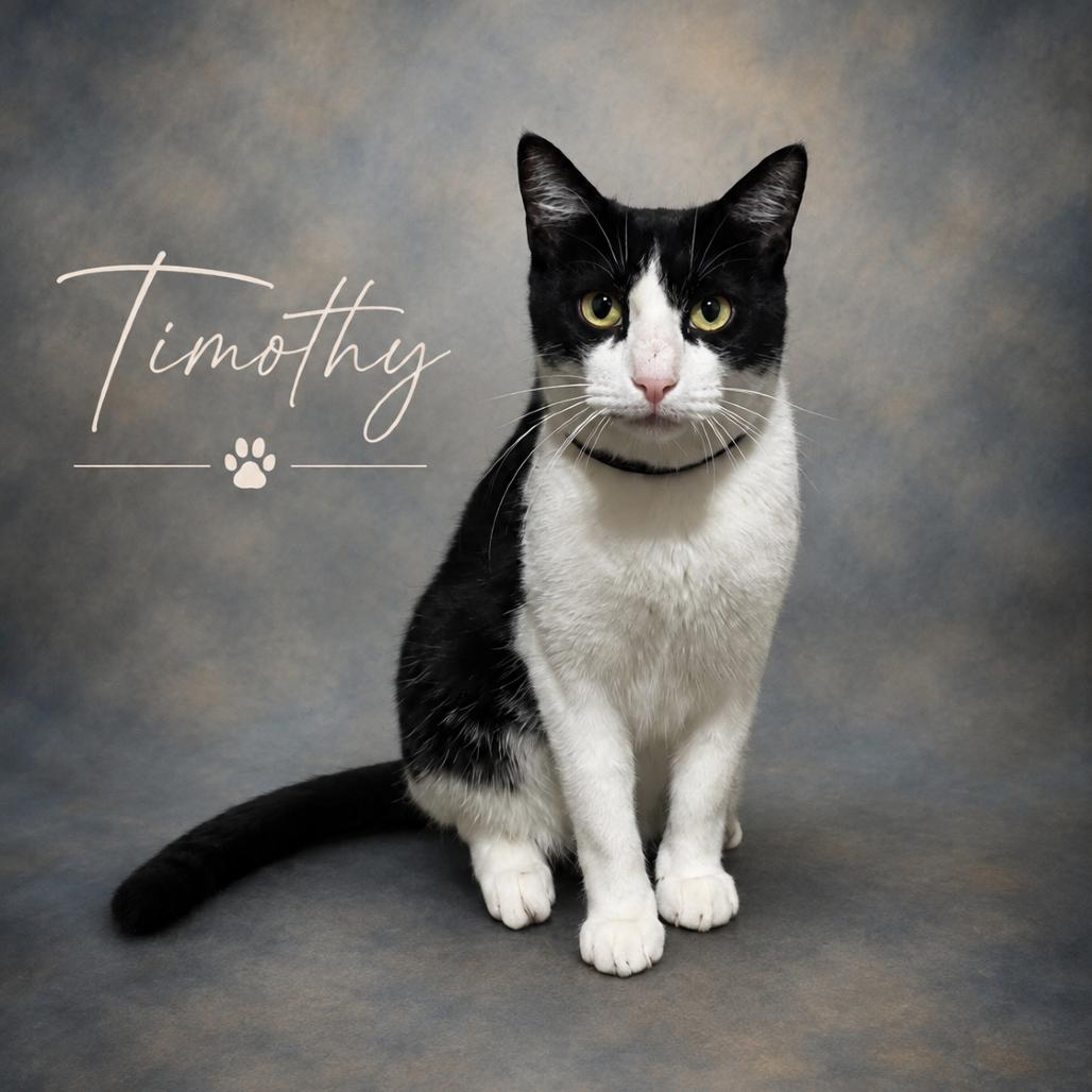 Timothy photo