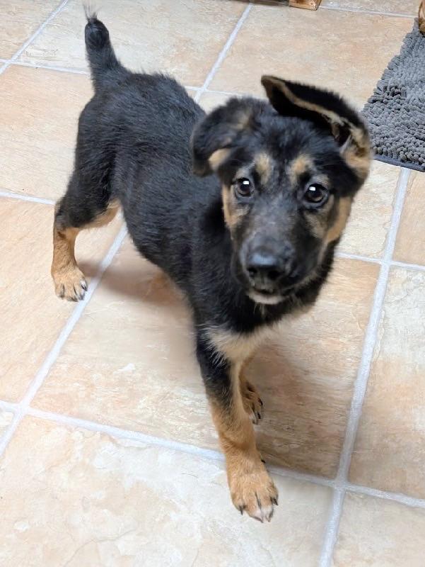 Sicily — thumbnail 2