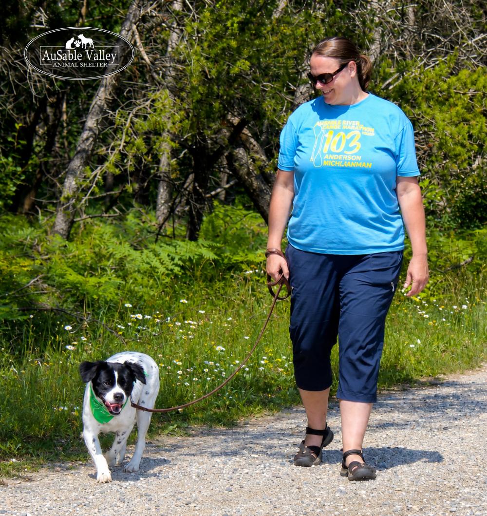Enlarge Vlad, a ADOPTABLE mixed breed in Grayling, MI image 5/6